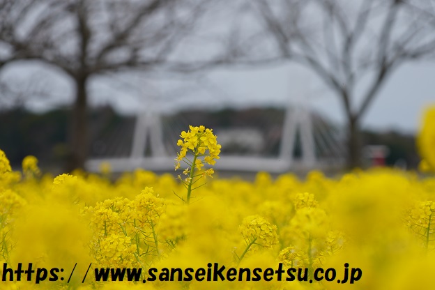 宇部市 ときわ公園 菜の花 三成建設株式会社 山口県宇部市の設立５０年を超えるプラント設備の設計 制作 メンテナンスを行う企業